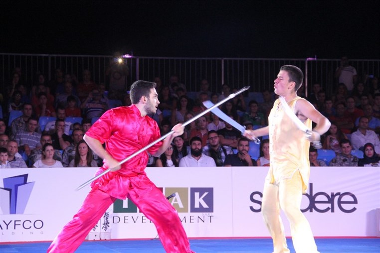 Martial Arts Festival